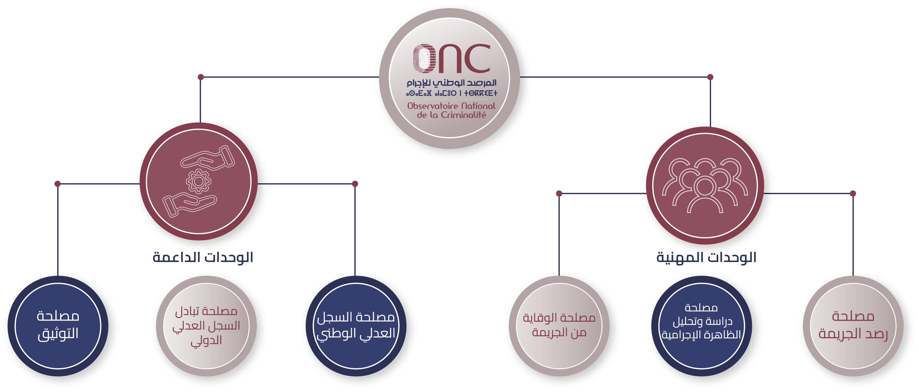الهيكل التنظيمي للمرصد الوطني للإجرام