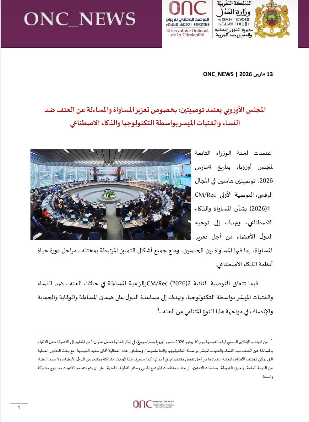 Le Conseil de l'Europe adopte deux recommandations sur l'égalité dans l'IA et la violence numérique contre les femmes
