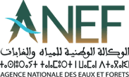 Agence Nationale des Eaux et Forêts